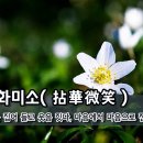 [오늘의 고사성어] 염화미소(拈華微笑) - 꽃을 집어 들고 웃음 짓다, 마음에서 마음으로 전하다. 이미지