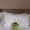 지에스25 뉴잠실희망점 이미지