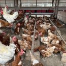 유재호농장 이미지