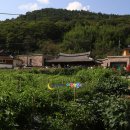 천담쉼터 | 전북 임실여행 코스모스 억새가 피어있는 섬진강 문화생태탐방로 구담마을 천담마을 진뫼마을 임실관광