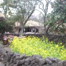 제주와봄 이미지