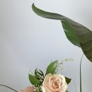 스튜디오봄울 이미지