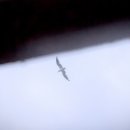 블루오션펜션 이미지