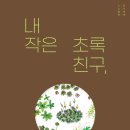 이끼스튜디오
