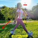 노르딕워킹(Nordic-walking)이란? 이미지