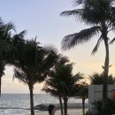 2254 | 내돈내산 후그 WRA2254 향수 다홍깅엄 로우컷 24사이즈 실착 후기