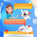 D&C 동물병원 이미지