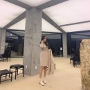 다모아스튜디오 이미지