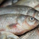 성도건강원 이미지