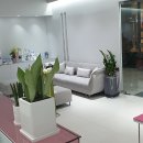 닥터지의원 이미지