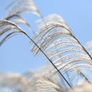 1-6호어린이공원 이미지