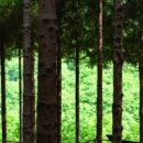 새진흥슈퍼 이미지