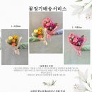 교대꽃누리 이미지