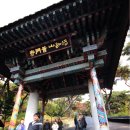 서진모터스 Daum카페
