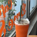 라임고양이 이미지