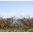 현대종묘사 이미지