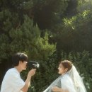 웨딩