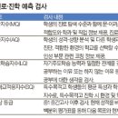 중등와이즈만