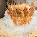 (주)더존비즈온 을지로지점 | [서울, 중구] 스시소라 을지로, 코우지 계열 미들급 가성비 디너 오마카세 후기