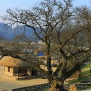 (주)삼강건설