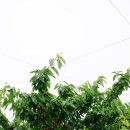 두리농원 이미지