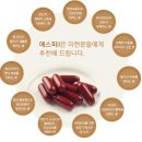 신진에스피