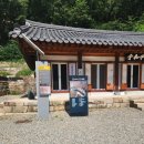 스테이720 | 충북 영동 반야사 템플스테이 휴식형 여름 후기, 배롱나무 개화시기-주차-교통편-밥