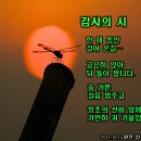 10. 16 낮설교 - 한해의 감사일기 (시편100편, 살전5;16-18, 골2;6-7) 이미지