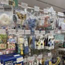 아무도없개 이미지