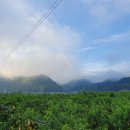 앞섬마을 이미지