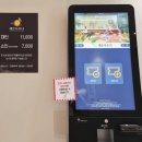 레몬사우나 이미지