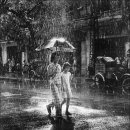 햇빛 찬란한 그 길 이미지