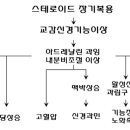 스테로이드란 무엇인가? 이미지