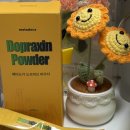 도카 | 맛있는 다이어트식품 추천 캑티온관리 메타도카 도프락신 파우더