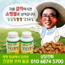 이금례농장 네이버블로그