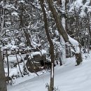 불갑산흑염소 이미지