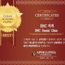 BNC치과 네이버블로그
