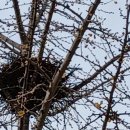 둥지광택 이미지