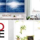 아라크네 이미지