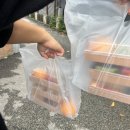 172 | 남양주 이색데이트 NCK카빙 남양주 과일조각 체험