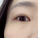 강남 속눈썹 에이치래쉬 속눈썹펌 포인트 연장 후기