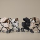 글로리아 켄넬 이미지