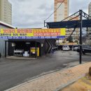 상주밧데리 이미지