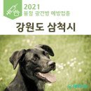 두타동물병원 이미지