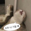송버드 일대기 EP 01 저능의 시작