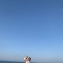 바다비치 이미지