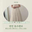 뮤즈앤코 | [천안 뮤즈앤코] 촬영 드레스 셀렉 후기 - 자카드 드레스