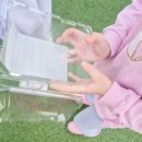 남양주 딸기 체험, 수향 딸기 농원 다녀온 후기