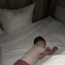 서우목장 2 이미지