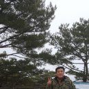 상인분식 - 안양시 동안구 관악대로287번길 34 | 상인분식